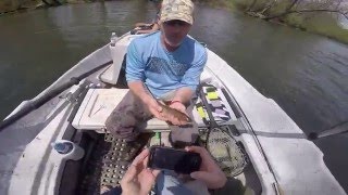 Tuckasegee River Drift Boat Fly Fishing Brown Trout [upl. by Mena61]