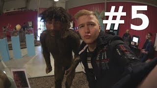 Neandertaler und Dinos  VLOG 5  Ende der OstseeReise [upl. by Enajharas375]