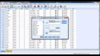 Comparing Means in SPSS [upl. by Secilu]