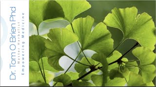 Ginkgo Biloba health benefits [upl. by Eladnwahs]