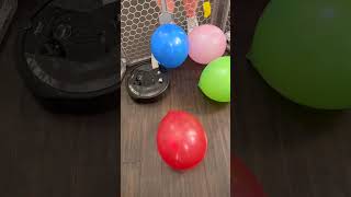 Roomba Balloon Roulette 😱 [upl. by Carney164]