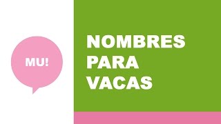 Nombres para vacas [upl. by Enellek]