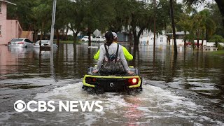 Florida sheriff warns of reptiles in Idalia floodwaters [upl. by Cath]