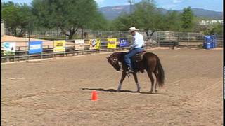 Warm up Drill Recognizing Parts of the Horse [upl. by Akinas627]