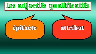 ladjectif qualificatif épithète et attribut شرح بالعربية [upl. by Aluino]