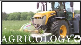 Mowing sainfoin for silage [upl. by Kinney525]