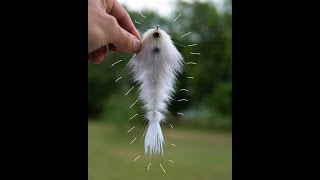 Arctic Fox GameChanger Fly Tying Tutorial [upl. by Ellehcer]