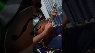 napuru wenna epa kiyala  නපුරු වෙන්න එපා කියල  chamara weerasinghe  short mandolin cover [upl. by Ligetti725]