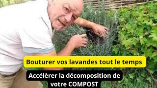 Bouturer vos lavandes n importe quand  Accélérer la décomposition de votre compost [upl. by Anirdnaxela]