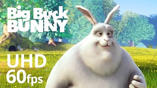 Big Buck Bunny 60fps 4K  Official Blender Foundation Short Film [upl. by Am]