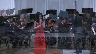 Albinoni Oboe Concerto Op 9 no 2 in D minor 1st movement [upl. by Mcintyre]