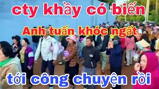 cty minh tuệ lại có biến nữa rồi ạ tuấn khóc ngất khi đến cty gặp cảnh này [upl. by Blunk896]