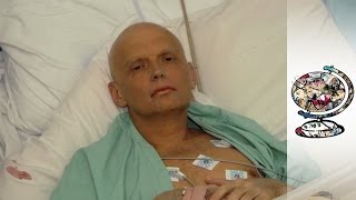 Was Litvinenko Poisoned By His Friend Alexei Lugovoi [upl. by Ahseinaj635]