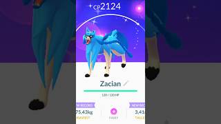 ✨️ Shiny Zacian registered to Pokédex pokemongo raids legendarypokemon [upl. by Josy766]