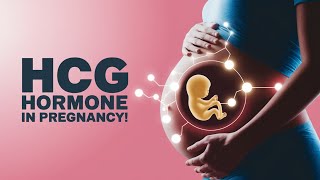 What You Need to Know About hCG Hormone in Pregnancy [upl. by Eelarol]