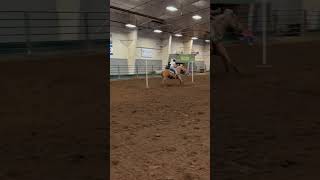 22 pole run polebending biankusfrenchgold gymkana [upl. by Ignace]