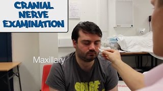 Cranial Nerve Examination  OSCE Guide old version  UKMLA  CPSA [upl. by Lari536]