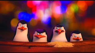 Nerves Of Steel  Spy Training  NEW PENGUINS OF MADAGASCAR [upl. by Alfreda]