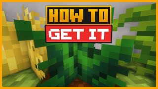 🟨 HOW to GET TEA BLOSSOM in the LET’S do HERBAL BREWS MOD in MINECRAFT [upl. by Peirsen]