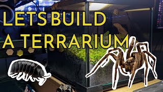 Build a terrariumvivarium with me [upl. by Niveg]