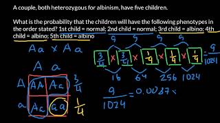 How to Solve Probability Problems in Genetics [upl. by Aix]