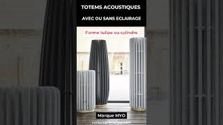 Acoustique DesignIntérieur TotemAcoustique [upl. by Nevear]