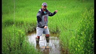 Trapping Crawfish To Feed Our 2 Pet Bass [upl. by Nevai]