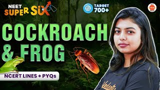 COCKROACH amp FROG 🐸 New NTA Syllabus  NCERT Lines  PYQs Solving  Class 11 Zoology  NEET 2024 [upl. by Uolyram]