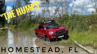 Off Roading in Homestead FL with 2 Toyota Tacomas and 3 Jeeps [upl. by Nuawd415]