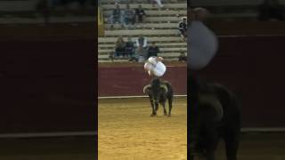 SALTO A ESTE TORO SALIENDO DE CHIQUEROS toros torospopulares shrots concurso [upl. by Ries]