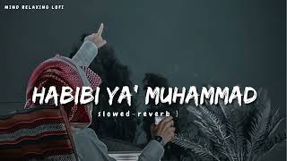 Habibi Ya Muhammad✨ slowed reverb Beautiful Nasheed Naat l Lofi Version l Mind Relaxing Naat [upl. by Lasyrc317]