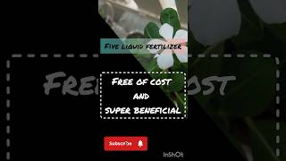 free liquid fertilizer for plant 🌱natural fertilizersplants growth boostersviralytshorttrending [upl. by Eeramit]