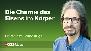 Chemische Komplexität im Körper Dr Bruno Kugel enthüllt die Wahrheit über Eisenmangel  QS24 [upl. by Onailimixam]