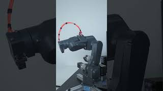 PAROL6 robotic arm  anthracite grey [upl. by Eillib]