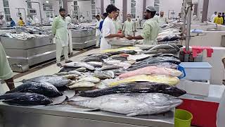 FISH MARKET IN RAS AL KHAIMAH hunting hunting fishing [upl. by Demmer]