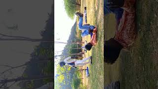 PUSHPA 1 short video state  Subscrib and sher like 👍 [upl. by Eseerehc383]