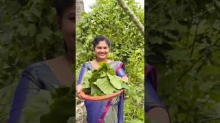 Bengali Tela kochur vorta 🤤shorts cooking recipe [upl. by Altaf289]