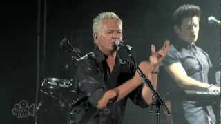 Icehouse  We Can Get Together Live in Sydney  Moshcam [upl. by Anirod891]