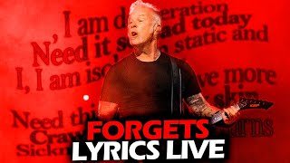 JAMES HETFIELD FORGETS SONG LIVE 2024 METALLICA [upl. by Armington561]