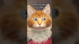 Theyre Eating Your Pets eating pet pets petlover petlovers memedonaltrumpusa funny shorts [upl. by Michaela3]