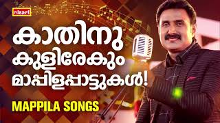 MAPPILA SONGS  Malayalam Mappila Songs  Nisari Mappila Pattukal  Pazhayamappila Songs [upl. by Rae376]