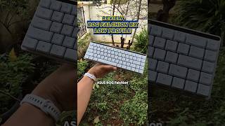 Hands on keyboard ASUS ROG Falchion RX Low Profile asus rog shorts [upl. by Nomyt]