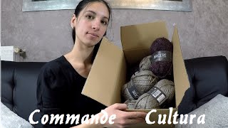 Vlog  Commande pelotes Bergère de France sur Cultura com [upl. by Faucher]