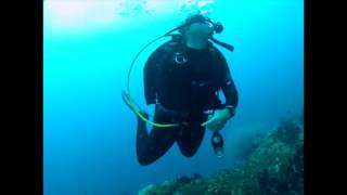 Sharkskin Diving in PNG [upl. by Acirderf]