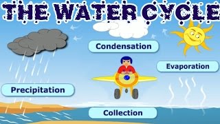 The Water Cycle Collection Condensation Precipitation Evaporation Learning Videos For Children [upl. by Lynea]