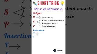 Clavicle  Muscles of clavicle Anatomy  Short trick 💡Ayurveda Planet [upl. by Goss]