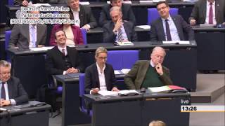 Best of Bundestag 88 Sitzung 2019 [upl. by Ward759]