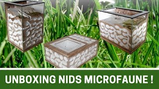 UNBOXING 2 nids Microfaune   BLOG Messor barbarus [upl. by Namdor]