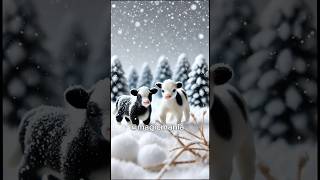 Mini Animals Floating in a winter wonderland floating pets cuterabbit cutecow snow cute life [upl. by Enelie]