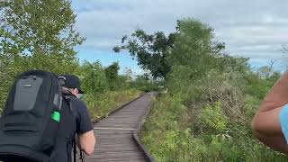 Explore with Acurryphotography Bayou Sauvage National Wildlife Refuge [upl. by Eeslehc]